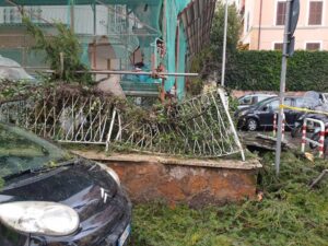 alberi caduti a roma vento pioggia danni